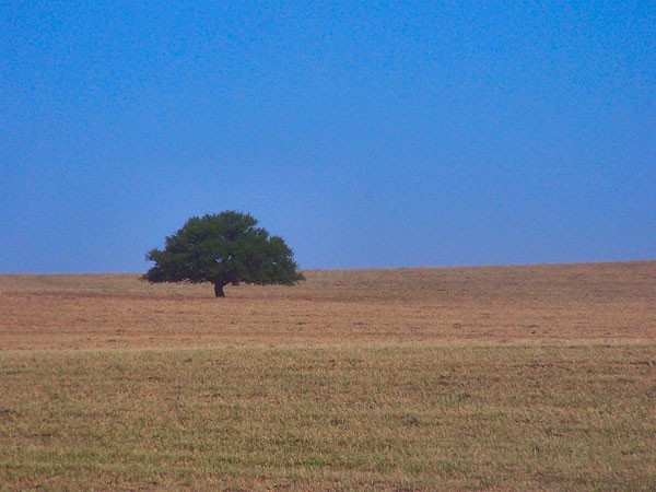 Empatel partners with Claro Argentina to boost connectivity in La Pampa