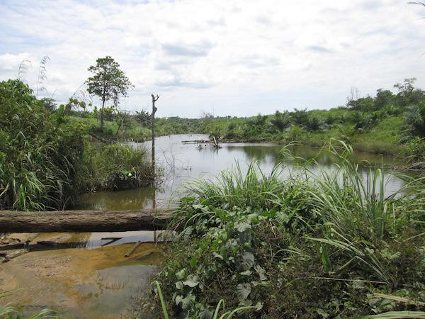 Telkomsel takes base stations to the borders