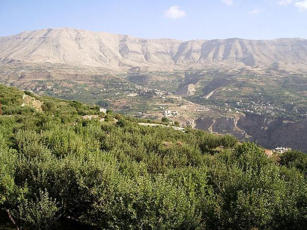 Libatel Deploys Lebanon’s First Internet of Things Network for Smart Agriculture with Kerlink