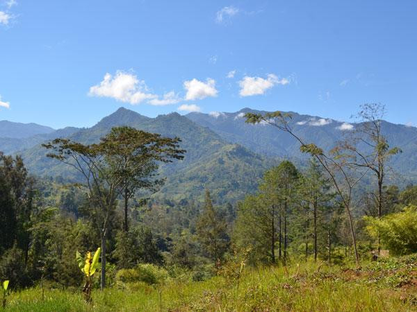 Court overturns Starlink ban in Papua New Guinea