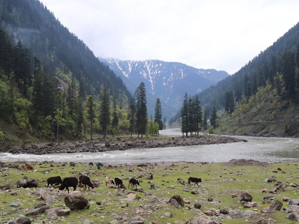 Pakistan lays out regional spectrum auction plans