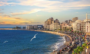 Vodafone Business will use IoT to boost Egypt’s agriculture sector