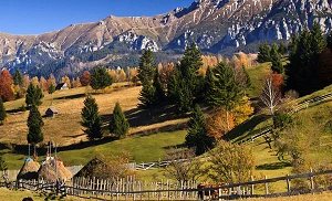Vodafone and Orange place 4G calls on shared Open RAN sites in Romania