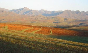 Connectivity improvements on the way for Namibia, Botswana and Lesotho