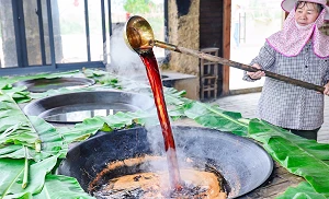 How connectivity is powering rural revival in Guangxi