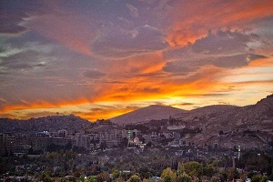 Stc wins bid for Syria’s US$800m Silklink fibre project