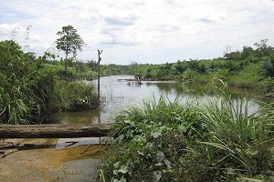 GSMA says Indonesia must accelerate targeted digital investment