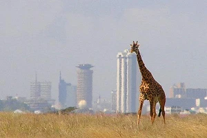 Safaricom will go commercial with 5G in 2022